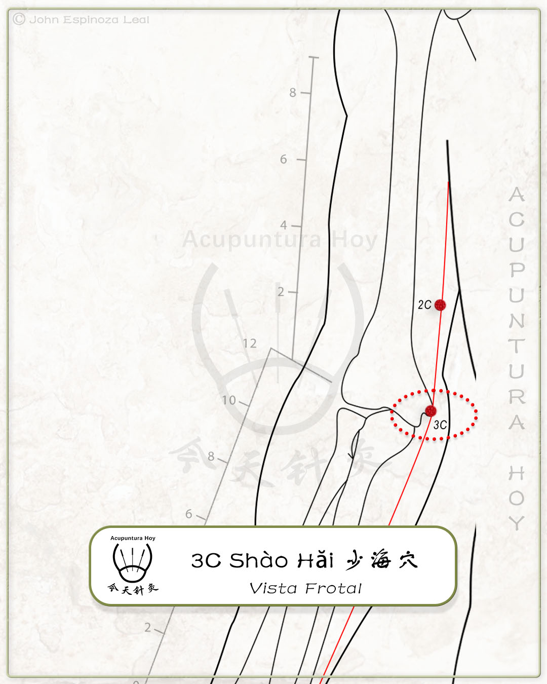 3C Shào Hăi 少海穴