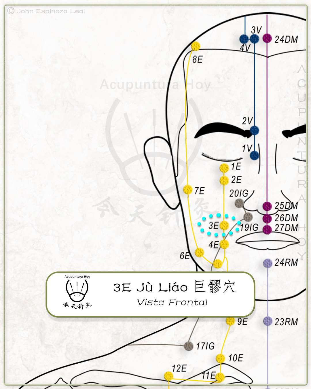3E Jù Liáo 巨髎穴