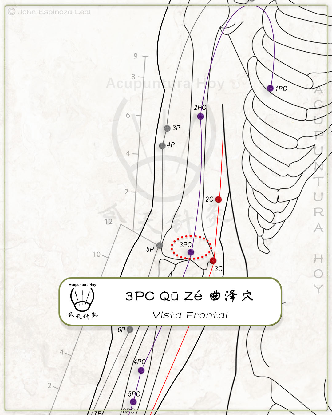 3PC Qū Zé 曲泽穴