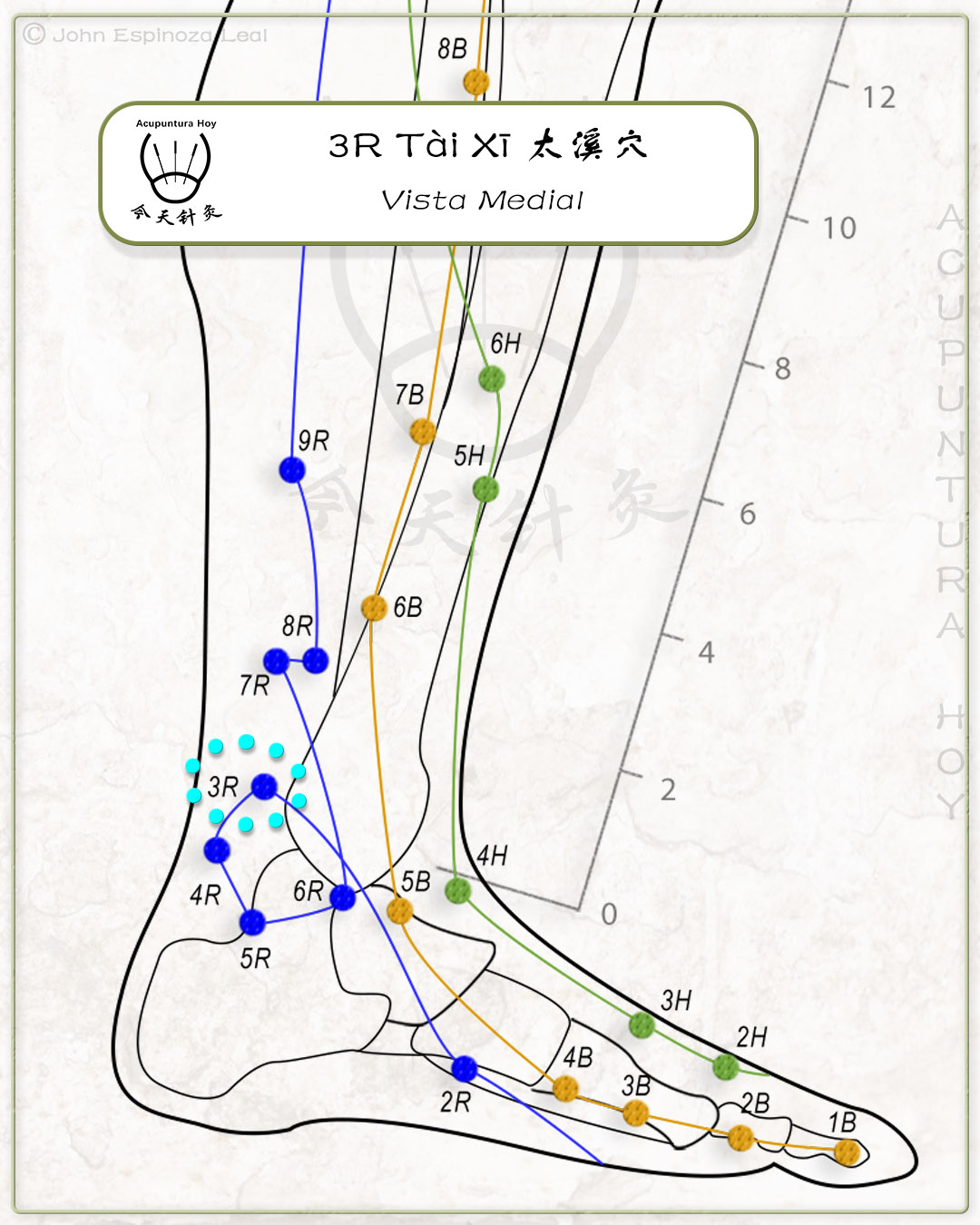 3R Tài Xī 太溪穴