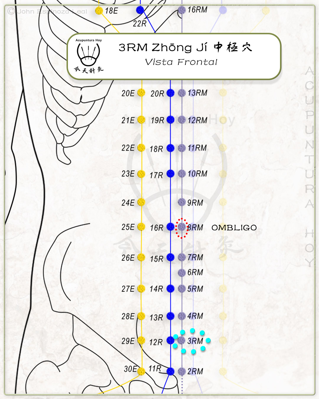 3RM Zhōng Jí 中極穴