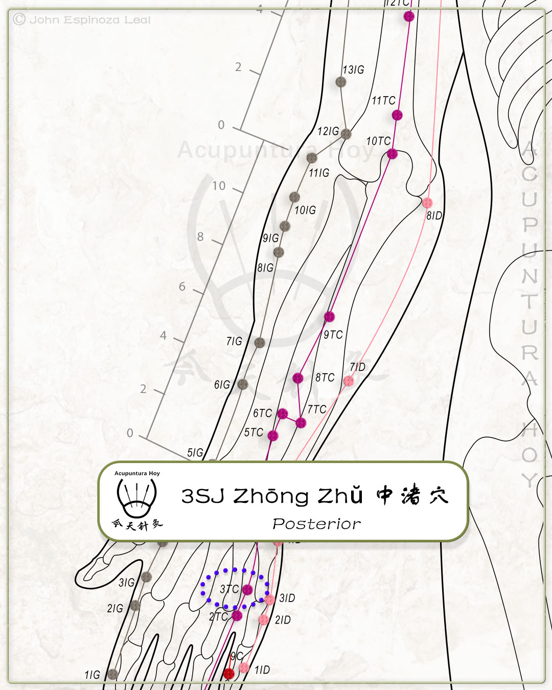 3SJ Zhōng Zhǔ 中渚穴