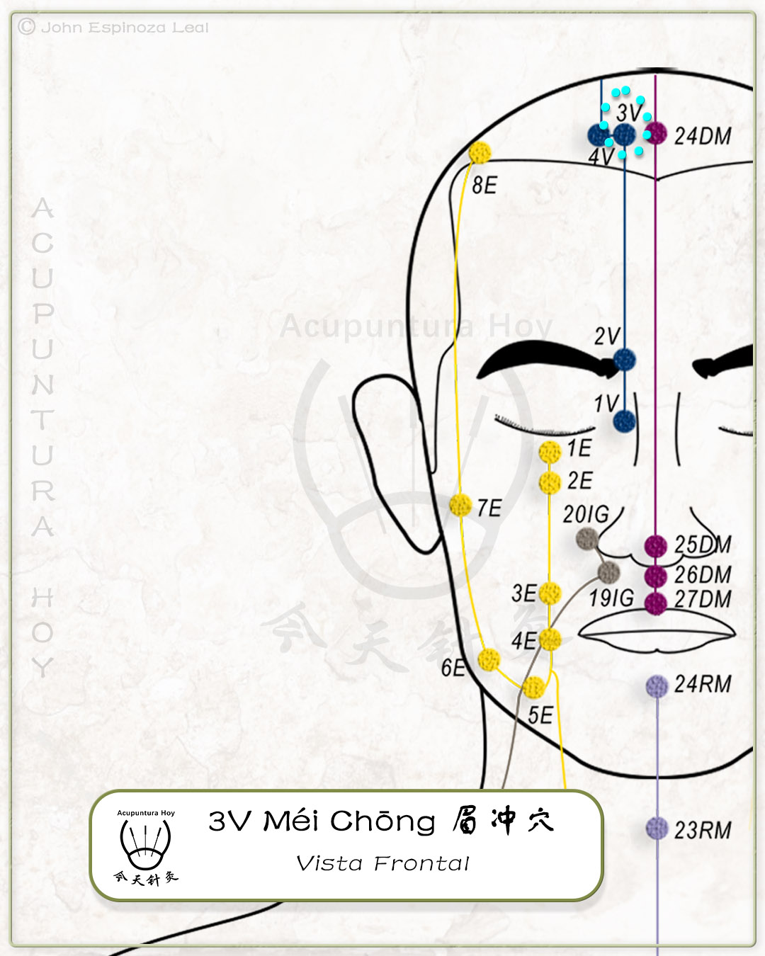 3V Méi Chōng 眉冲穴