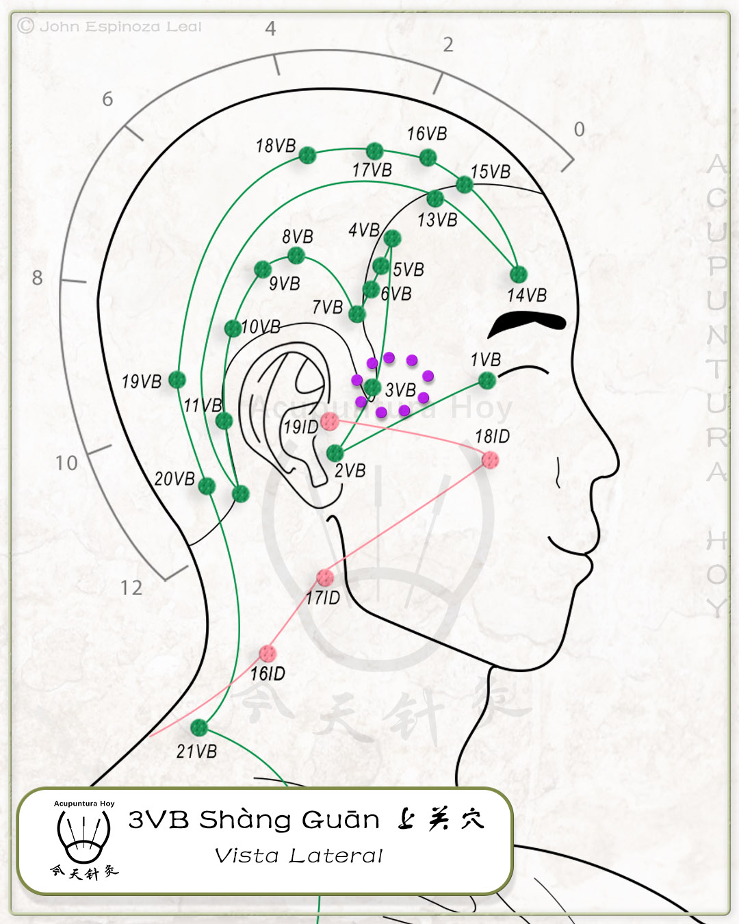 3VB Shàng Guān 上关穴