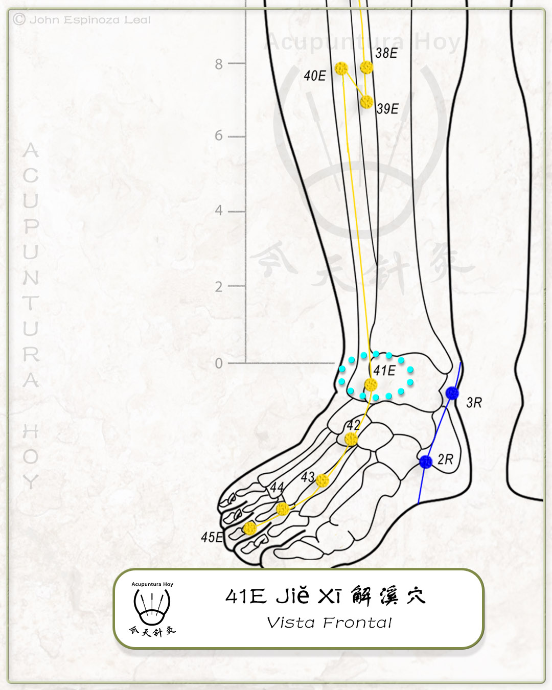 41E Jiĕ Xī 解溪穴