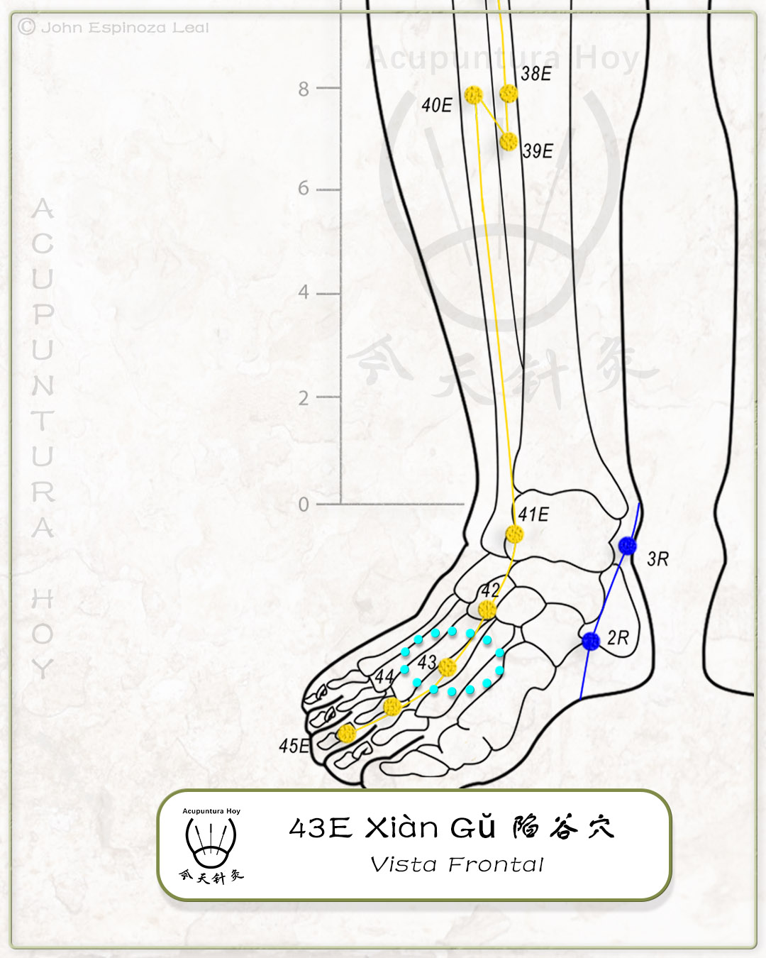 43E Xiàn Gŭ 陷谷穴