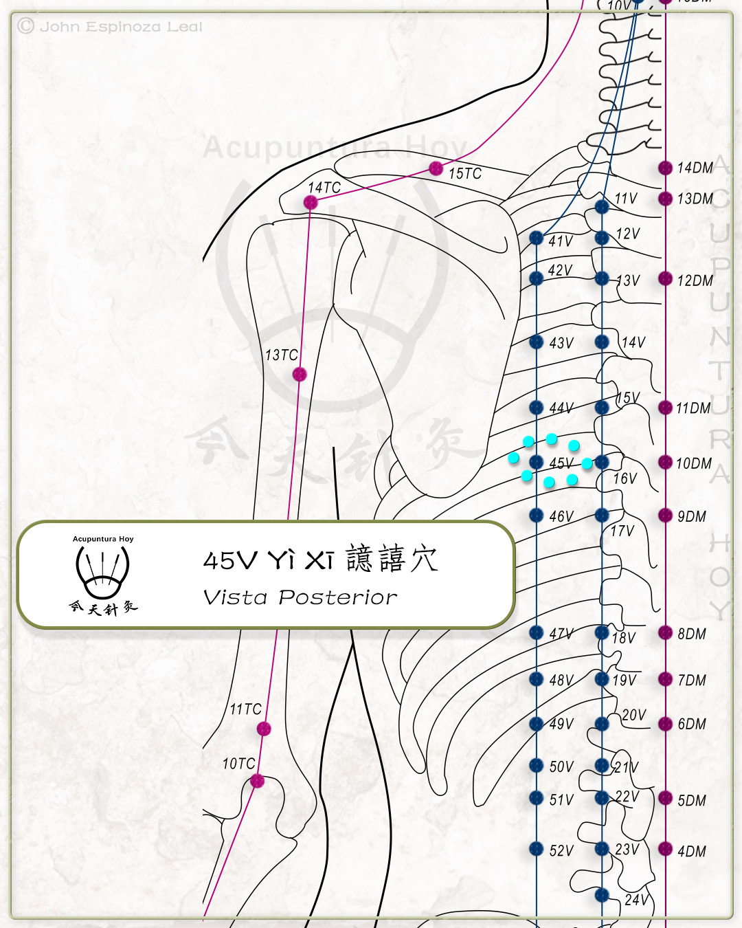 45V Yì Xī 譩譆穴