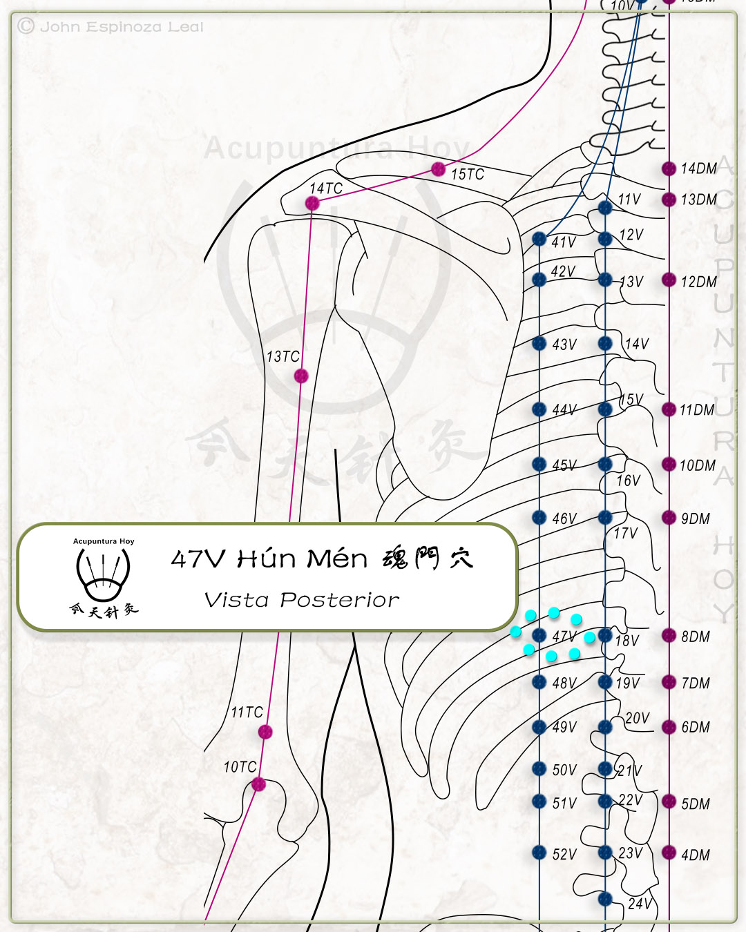 47V Hún Mén 魂門穴