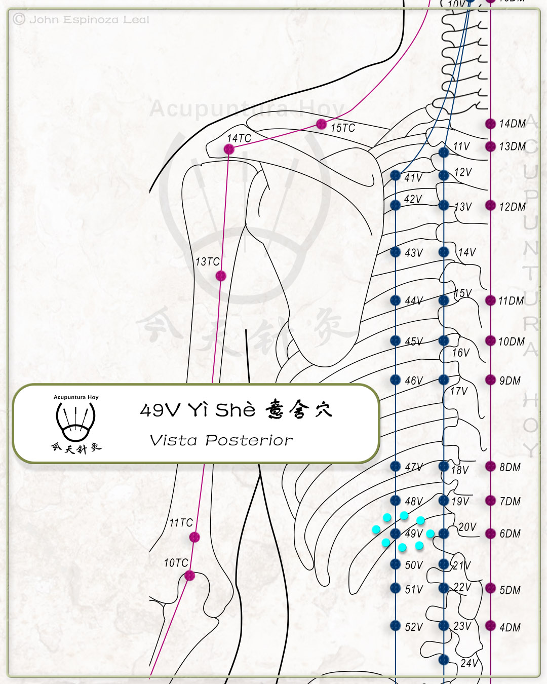49V Yì Shè 意舍穴