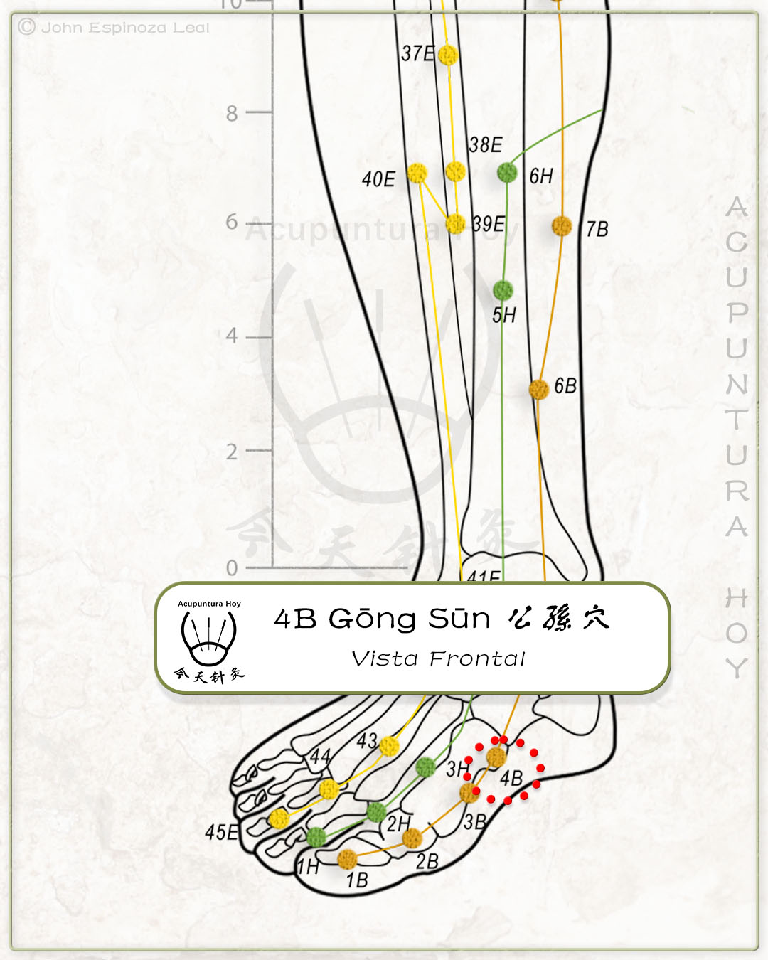 4B Gōng Sūn 公孫穴