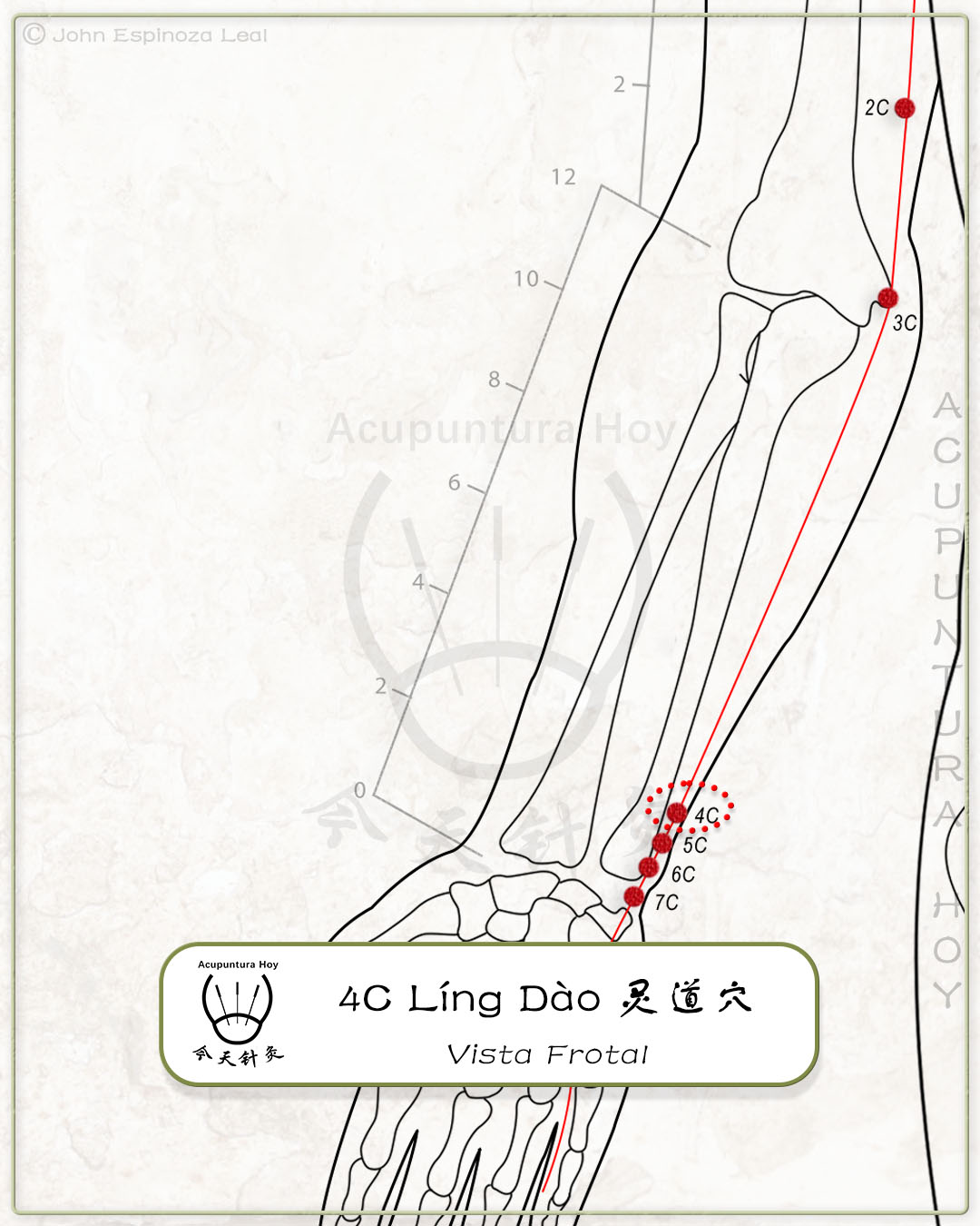4C Líng Dào 灵道穴