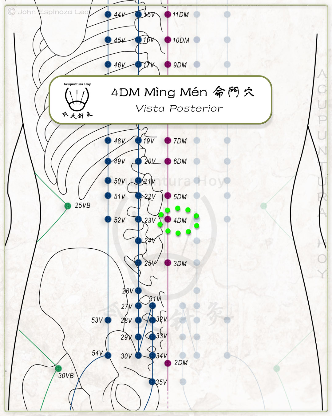 4DM Mìng Mén 命門穴