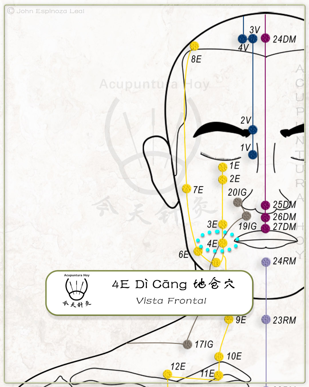 4E Dì Cāng 地仓穴