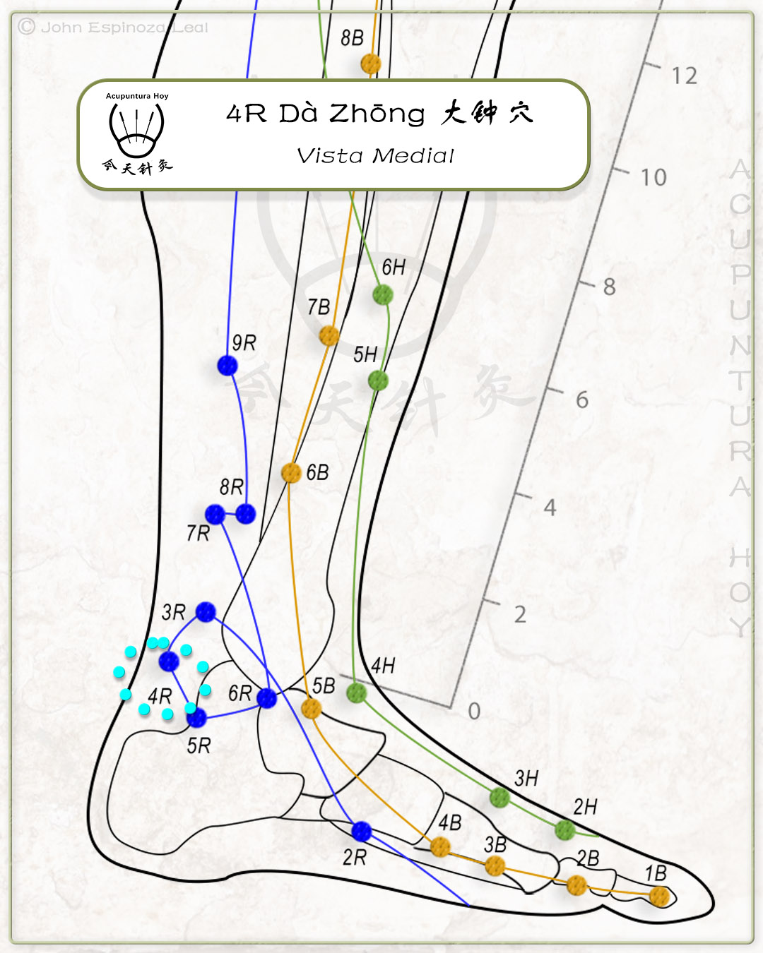 4R Dà Zhōng 大钟穴