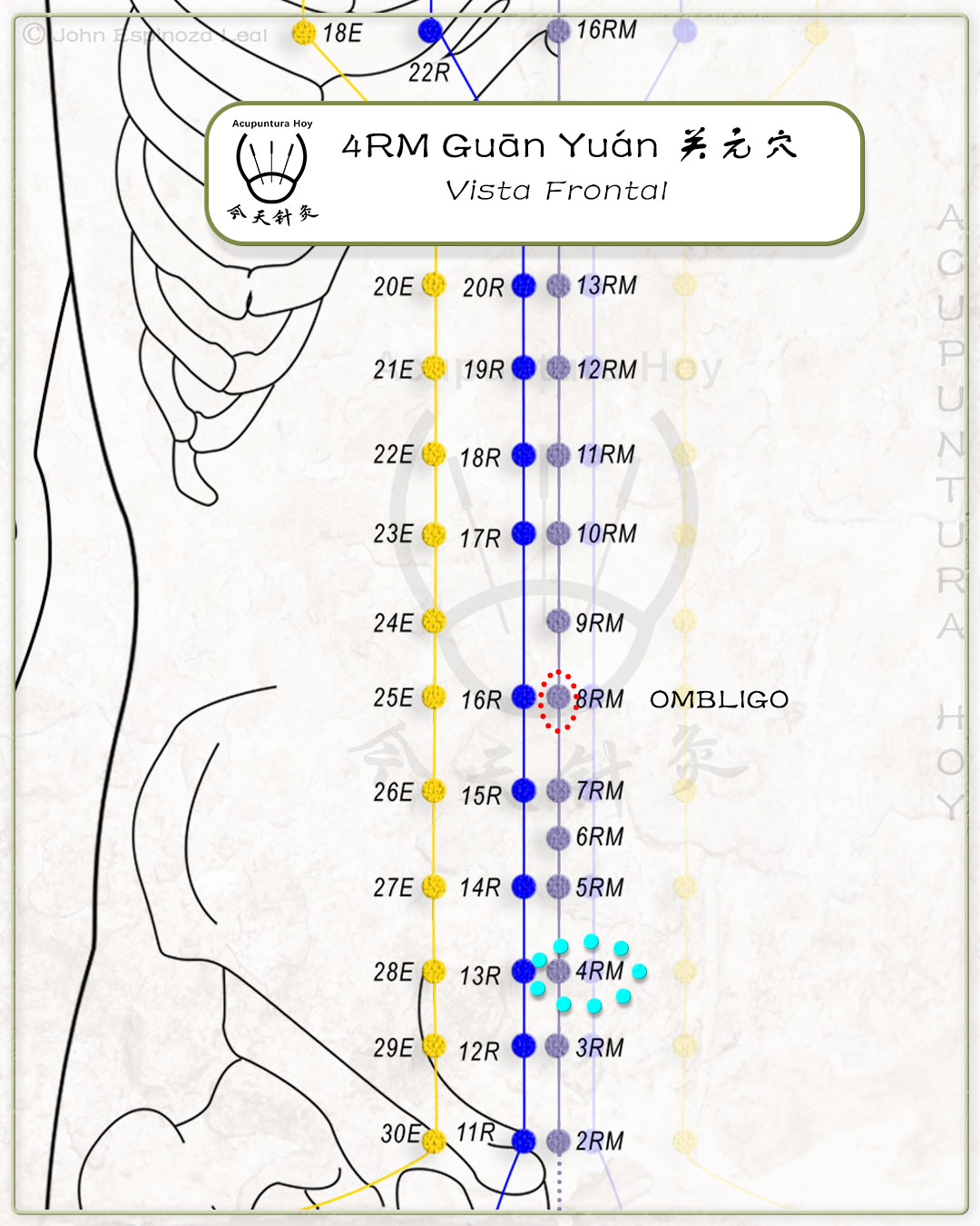 4RM Guān Yuán 关元穴