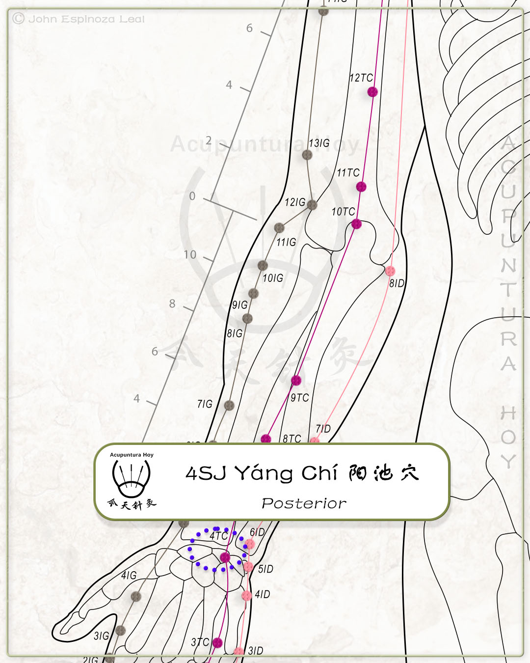 4SJ Yáng Chí 阳池穴