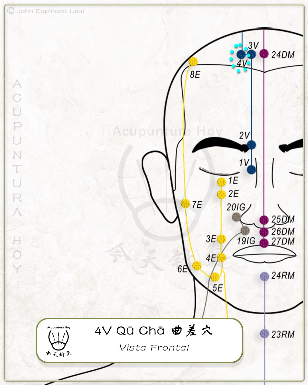 4V Qū Chā 曲差穴