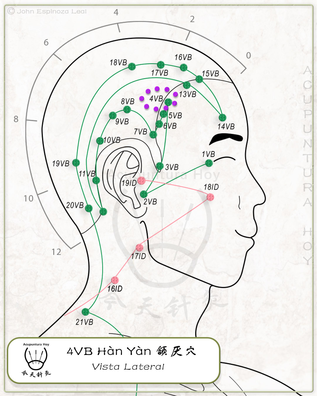 4VB Hàn Yàn 颔厌穴