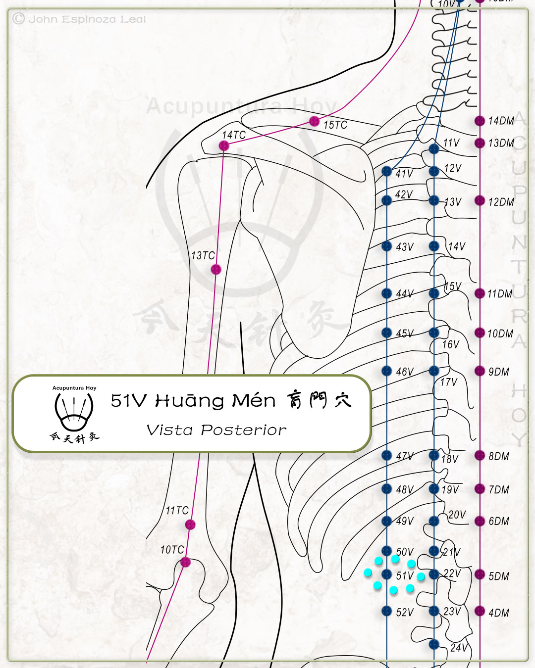 51V Huāng Mén 肓門穴