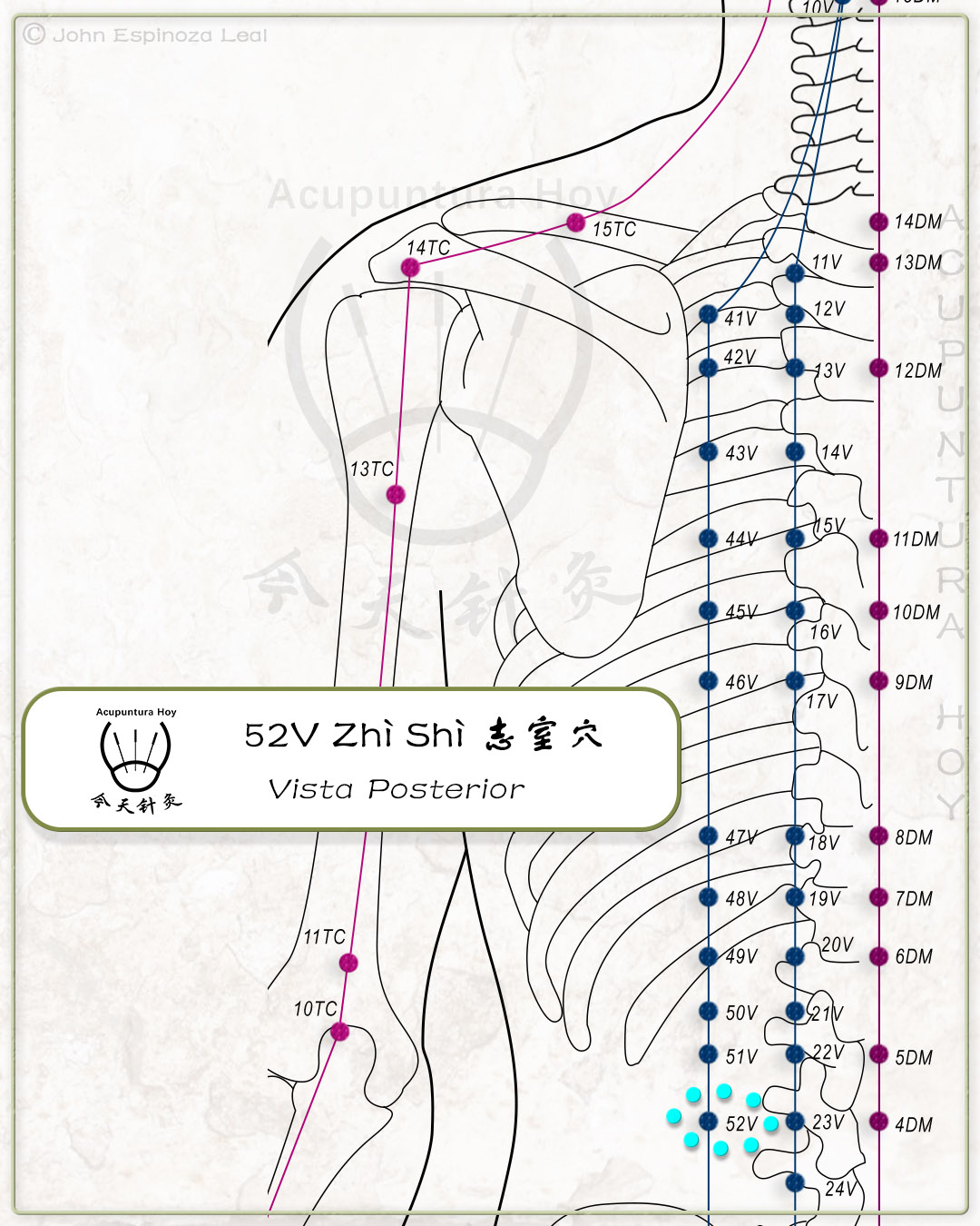 52V Zhì Shì 志室穴