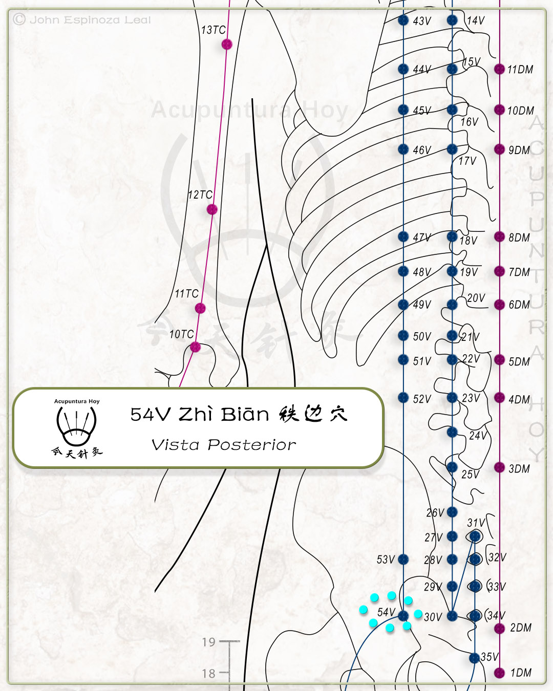 54V Zhì Biān 秩边穴