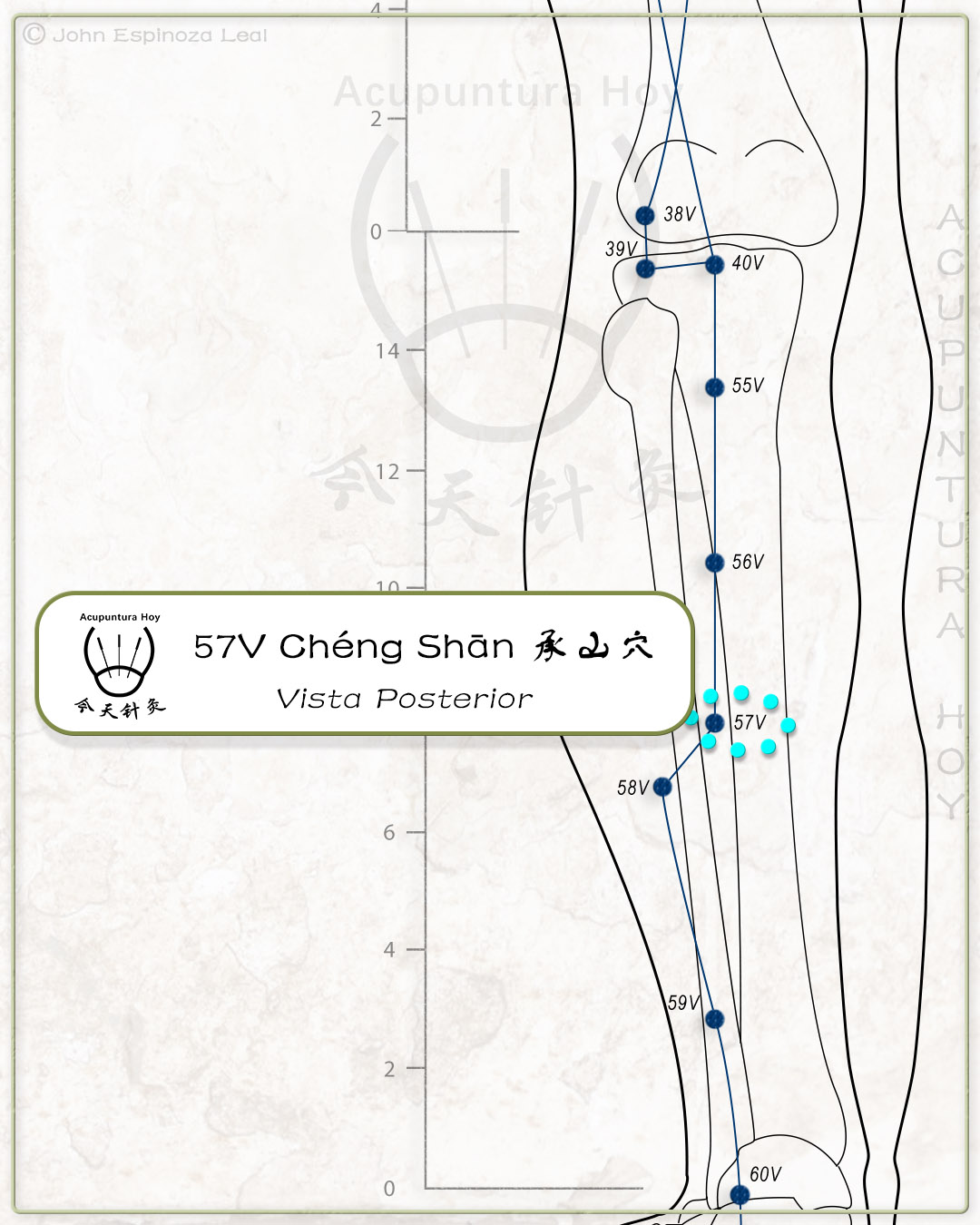 57V Chéng Shān 承山穴