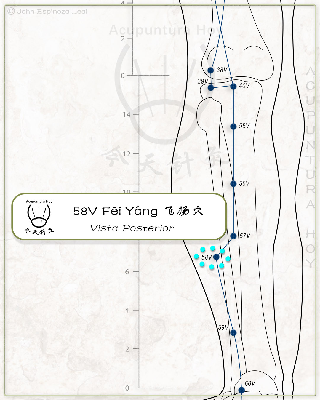 58V Fēi Yáng 飞扬穴