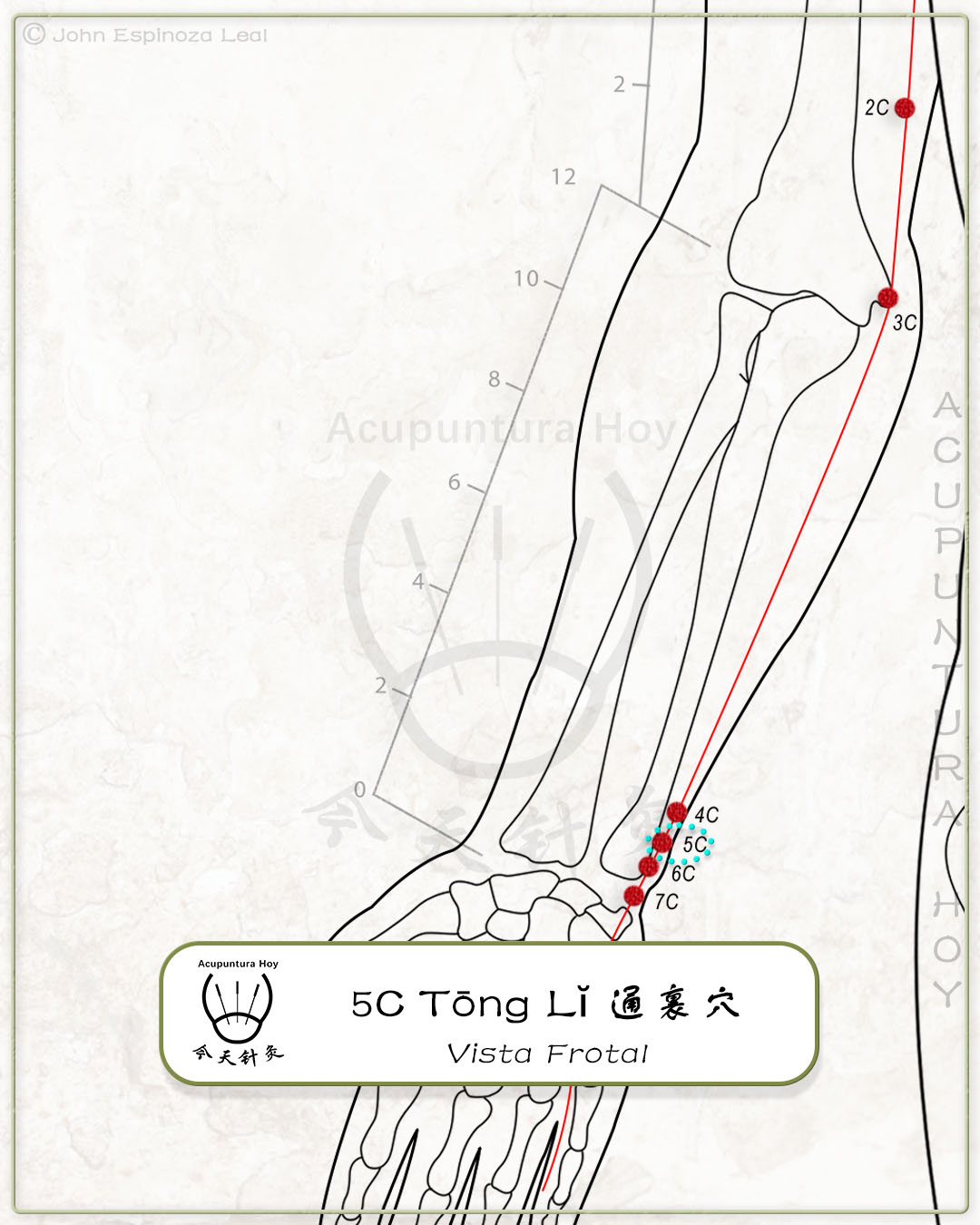5C Tōng Lĭ 通裏穴
