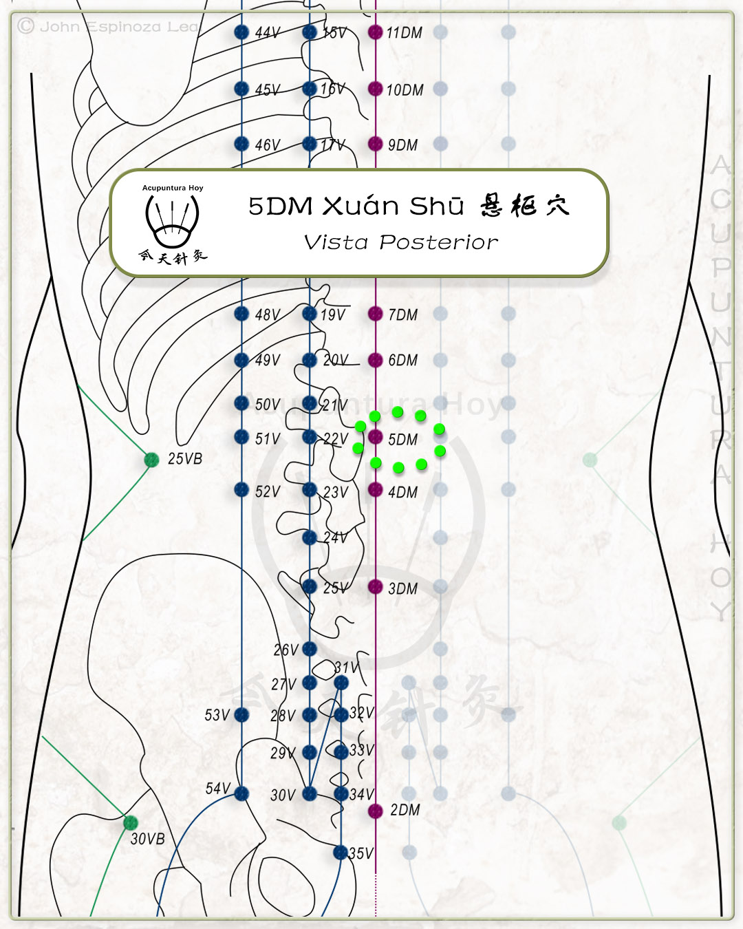 5DM Xuán Shū 悬枢穴