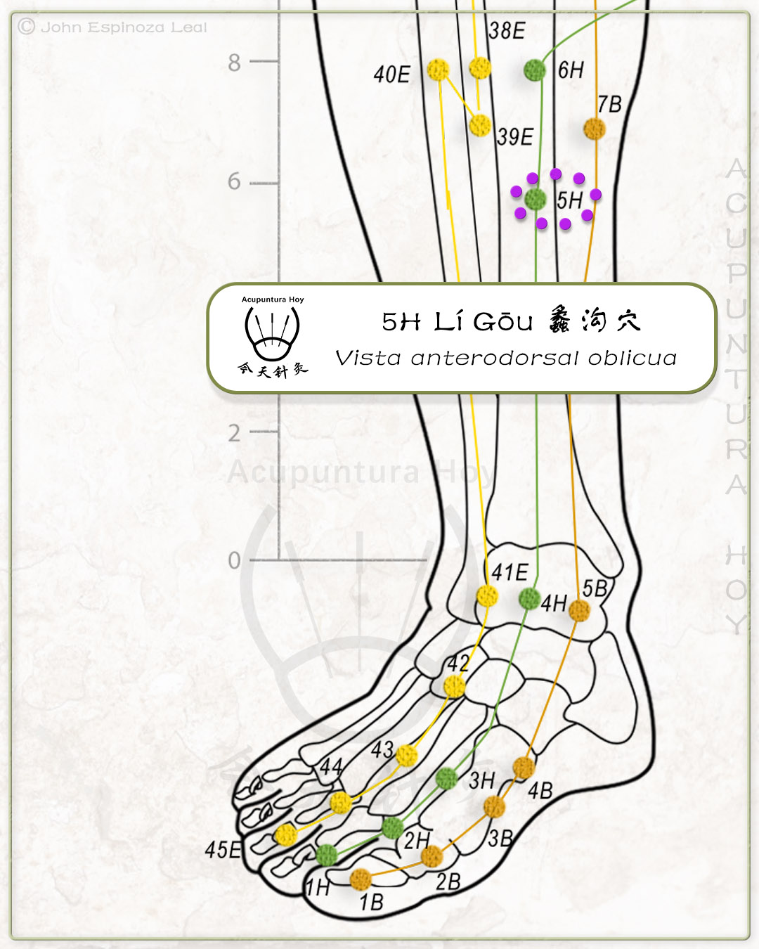 5H Lí Gōu 蠡沟穴