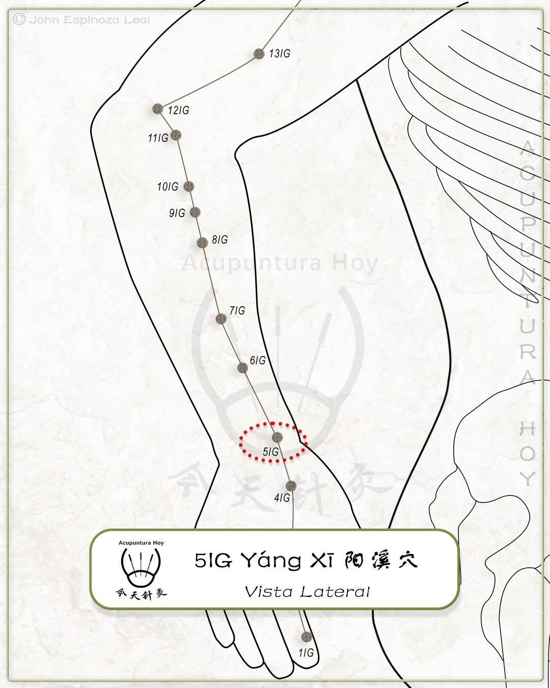 5IG Yáng Xī 阳溪穴