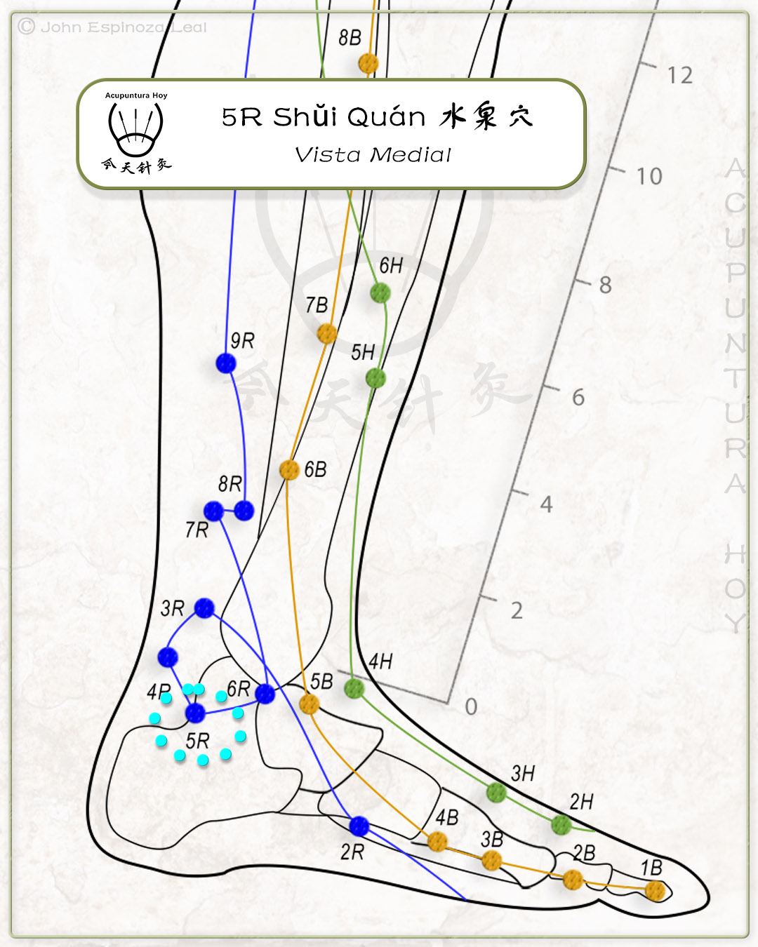 5R Shŭi Quán 水泉穴