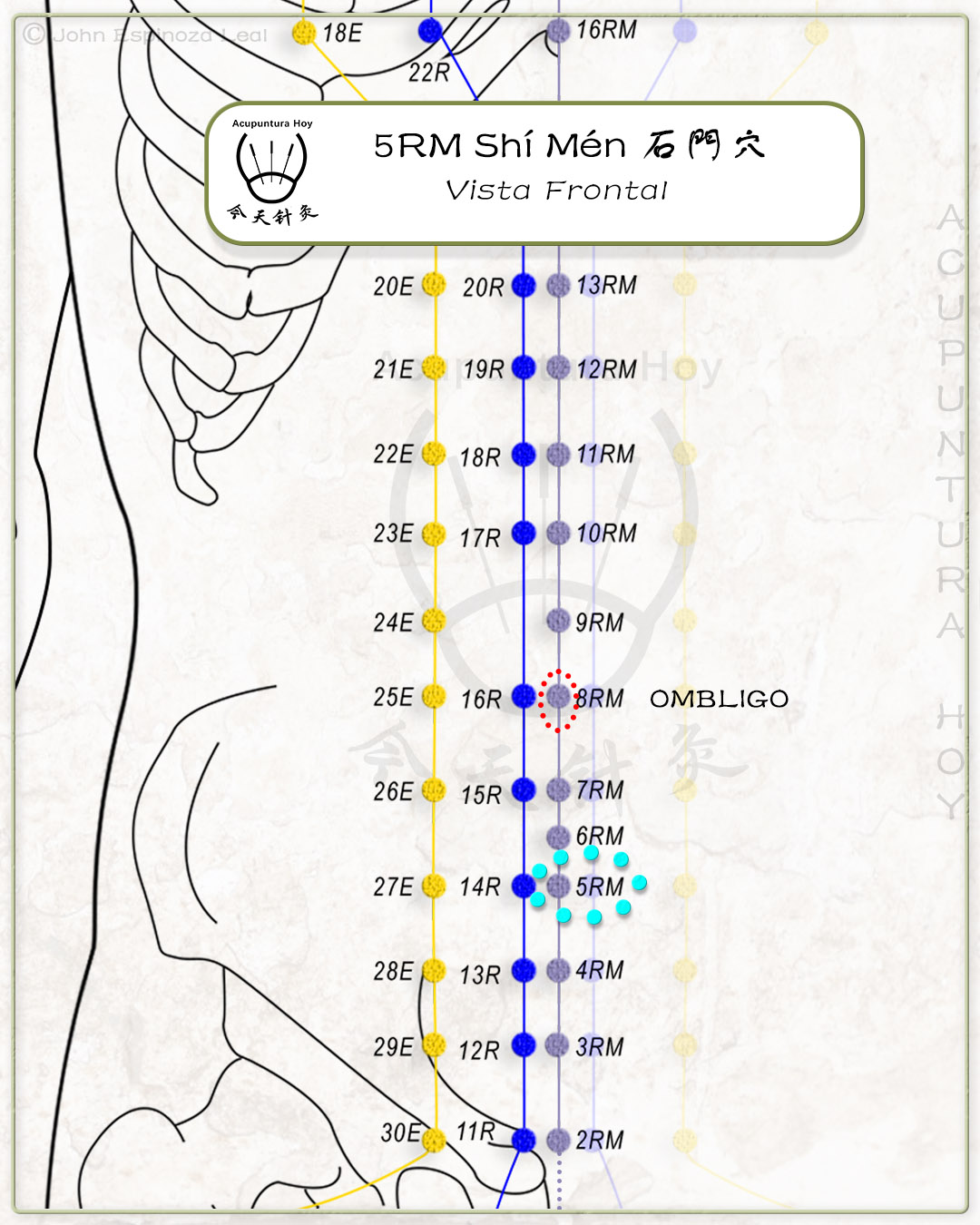 5RM Shí Mén 石门穴