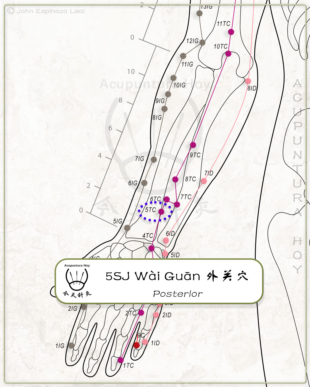 5SJ Wài Guān 外关穴