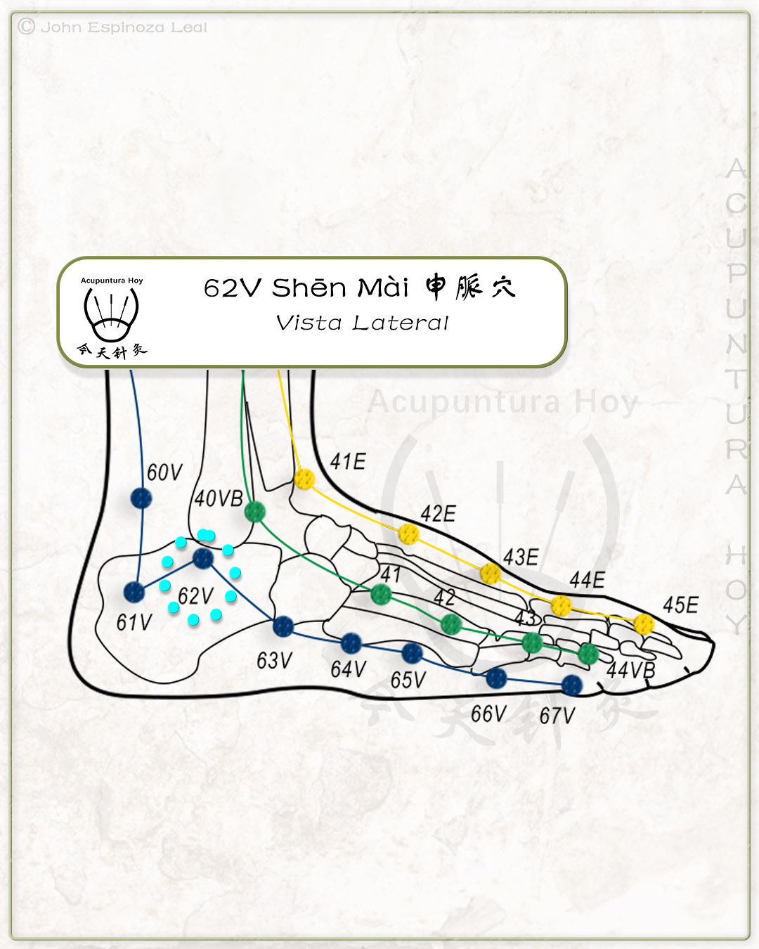 62V Shēn Mài 申脈穴