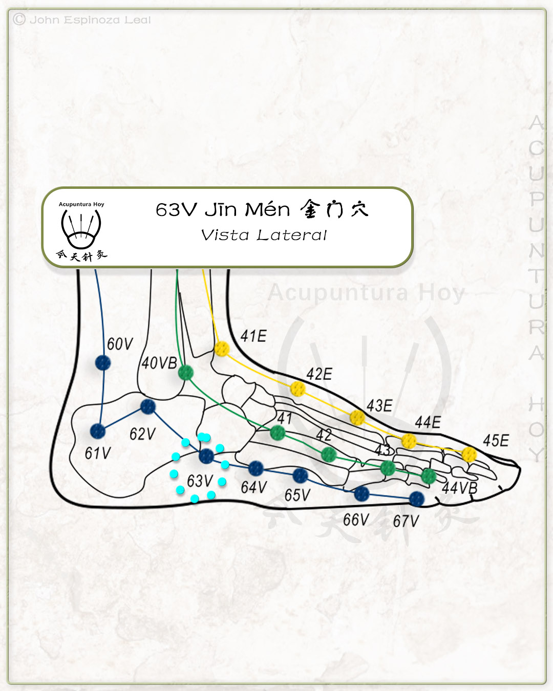 63V Jīn Mén 金门穴