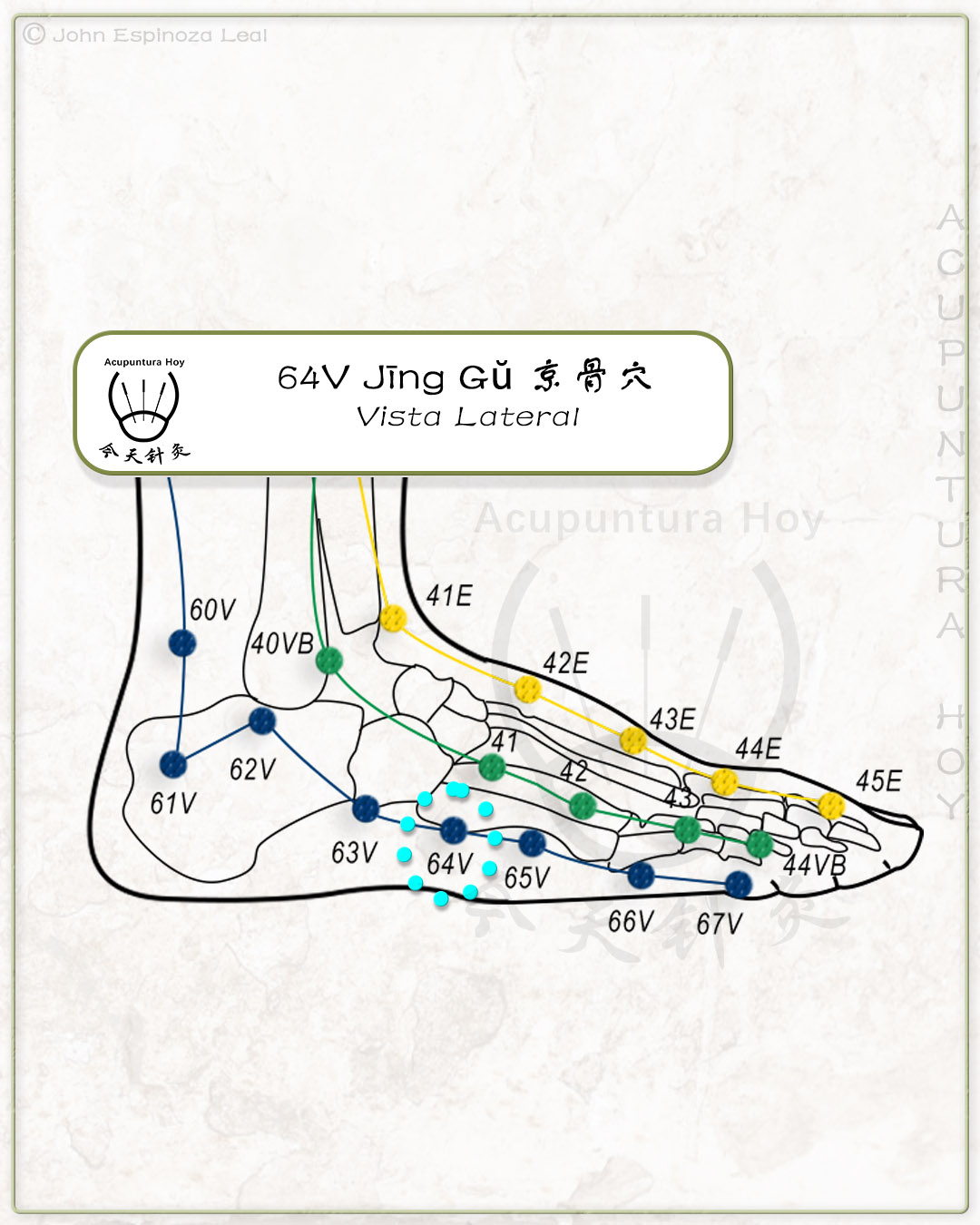 64V Jīng Gŭ 京骨穴