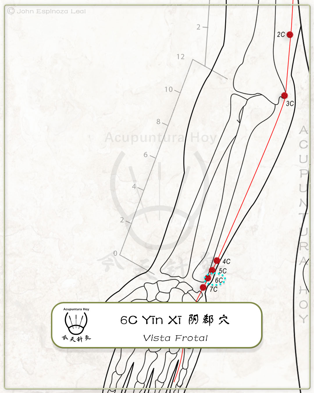 6C Yīn Xī 阴郄穴