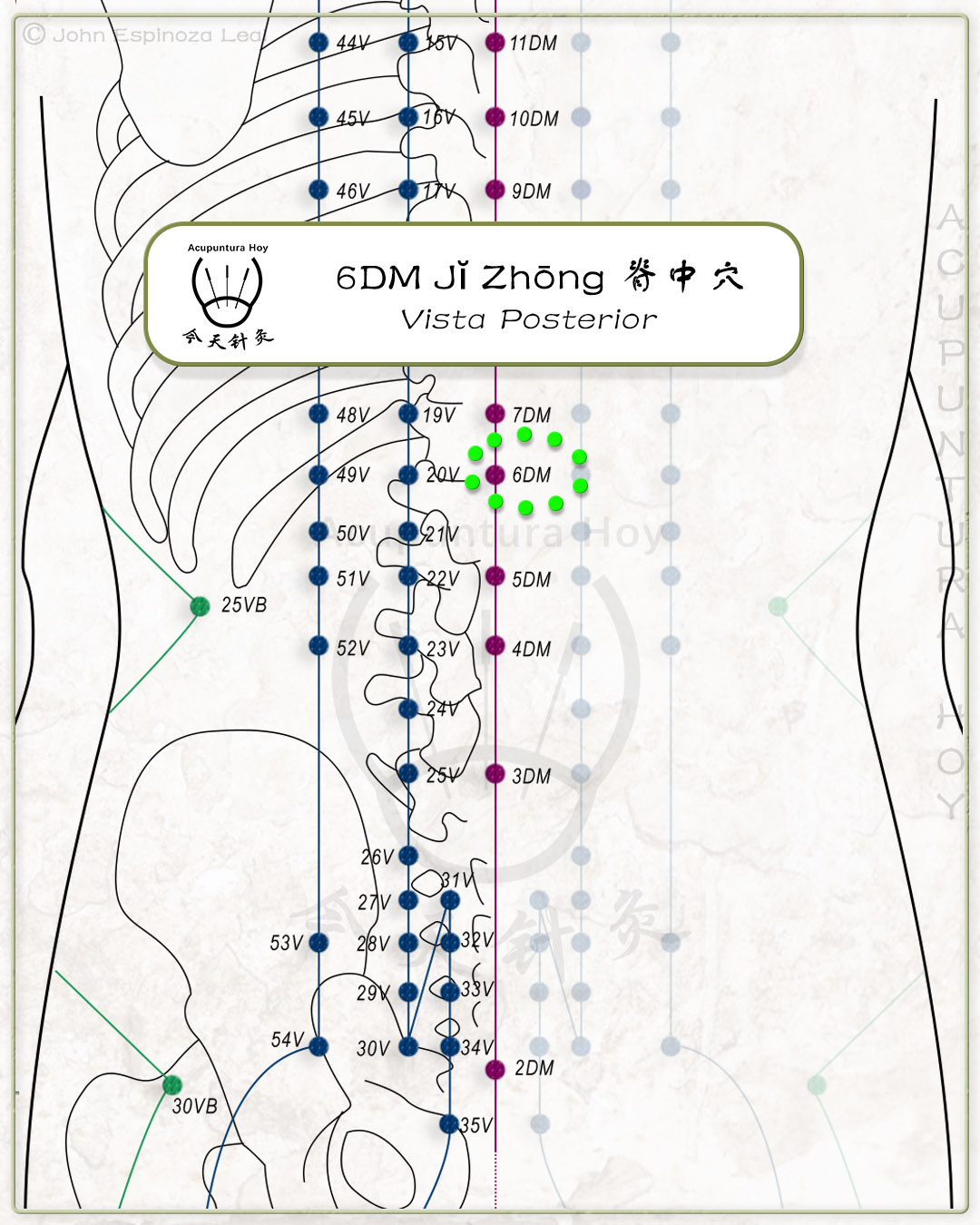 6DM Jĭ Zhōng 脊中穴