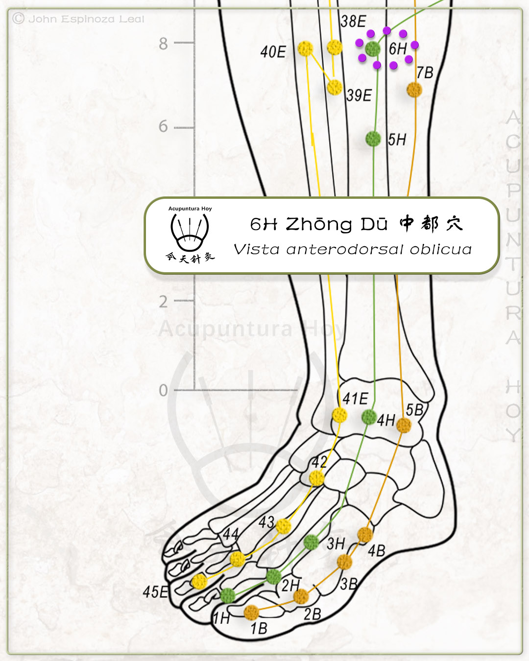 6H Zhōng Dū 中都穴