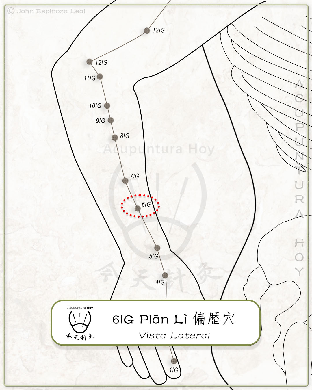 6IG Piān Lì 偏歴穴