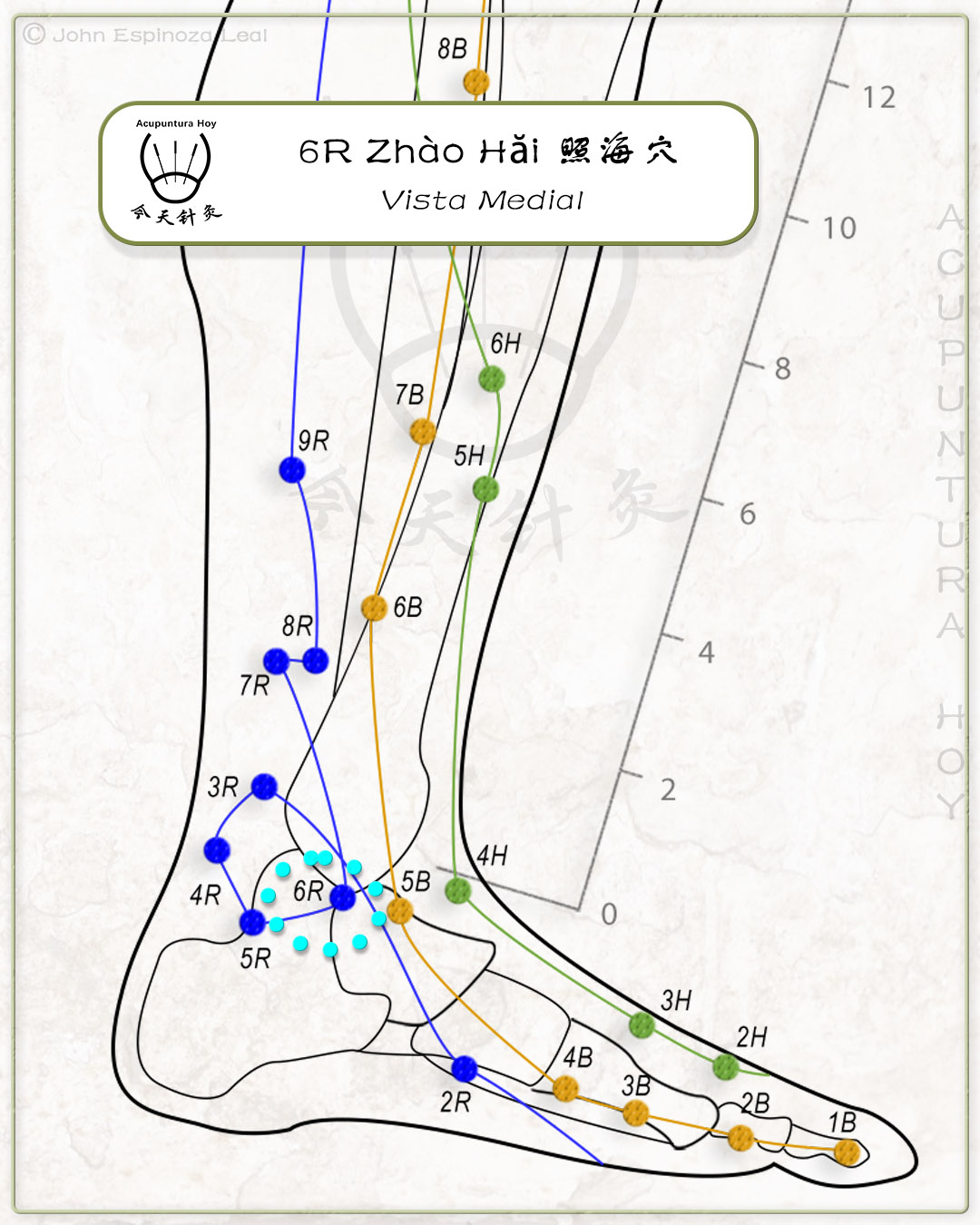 6R Zhào Hăi 照海穴
