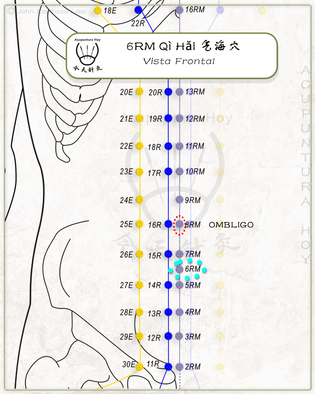 6RM Qì Hăi 气海穴