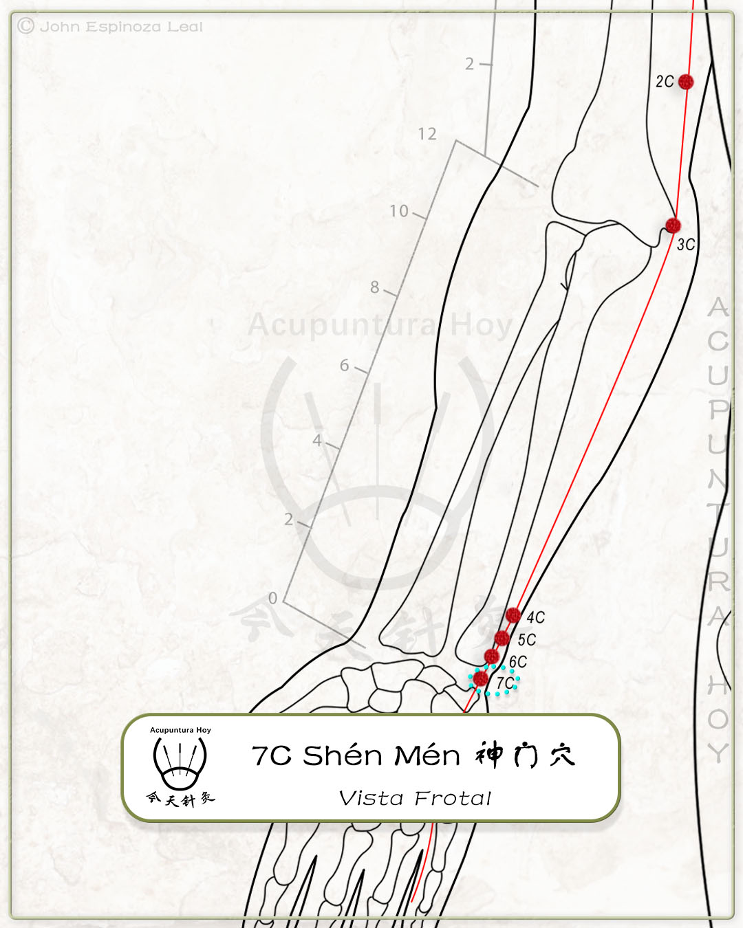 7C Shén Mén 神门穴