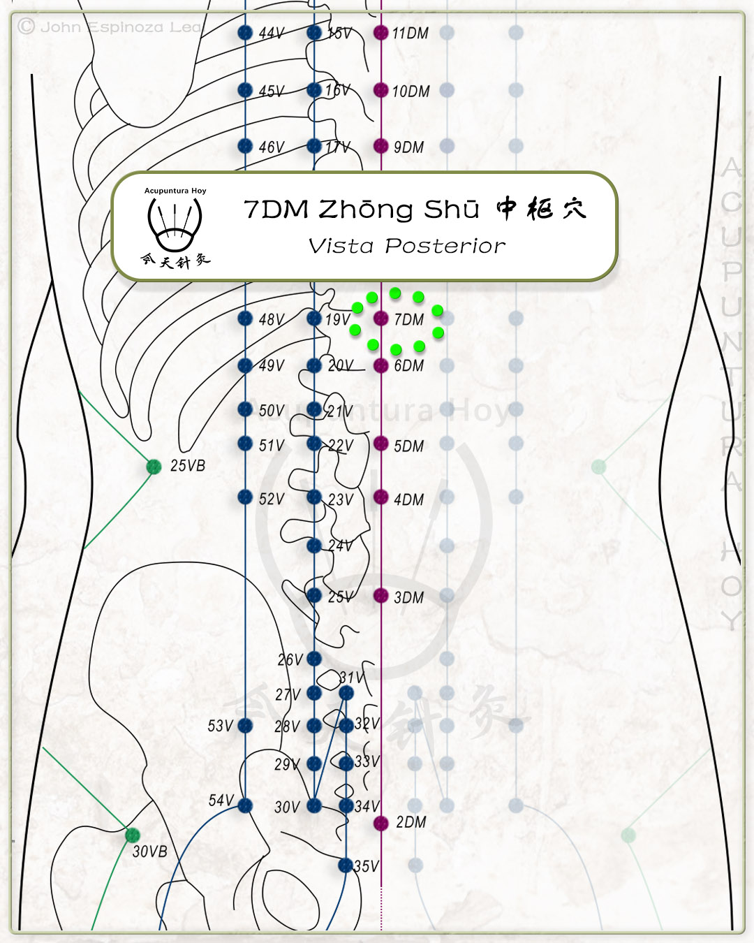 7DM Zhōng Shū 中枢穴