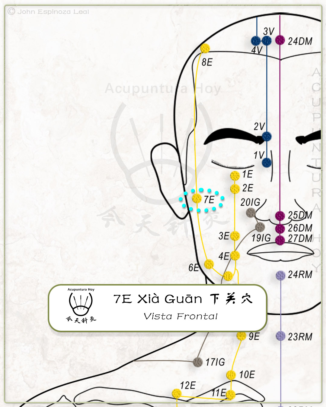 7E Xià Guān 下关穴