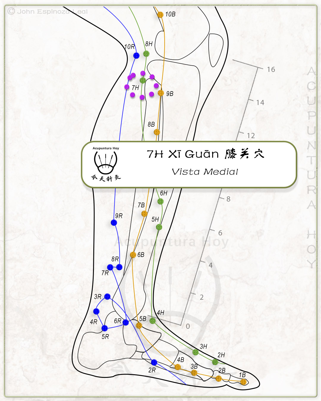 7H Xī Guān 膝关穴