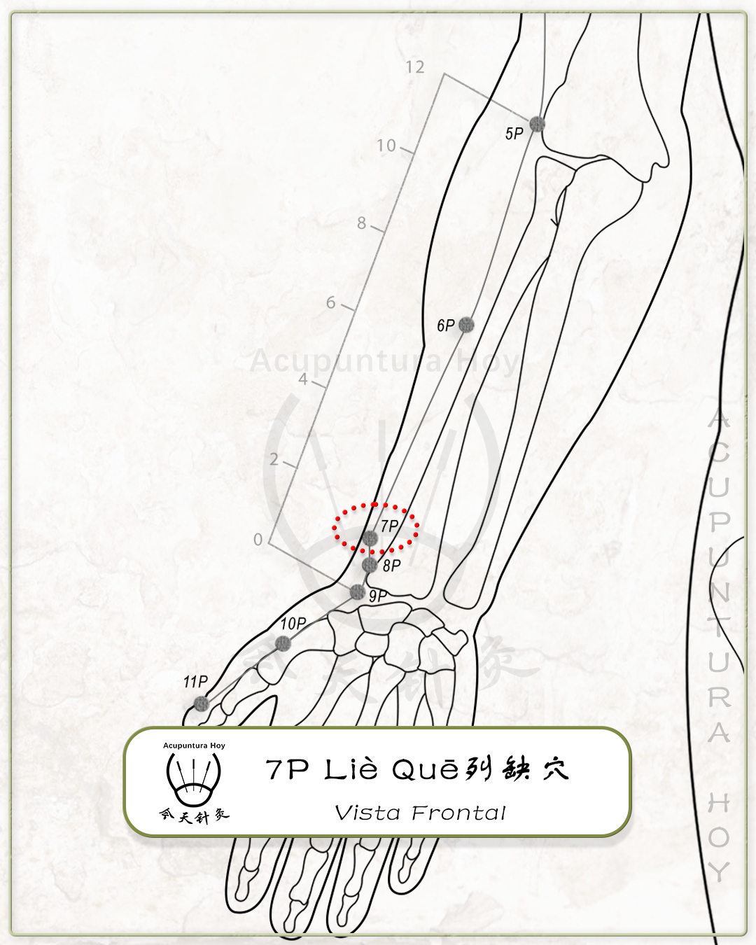 7P Liè Quē 列缺穴