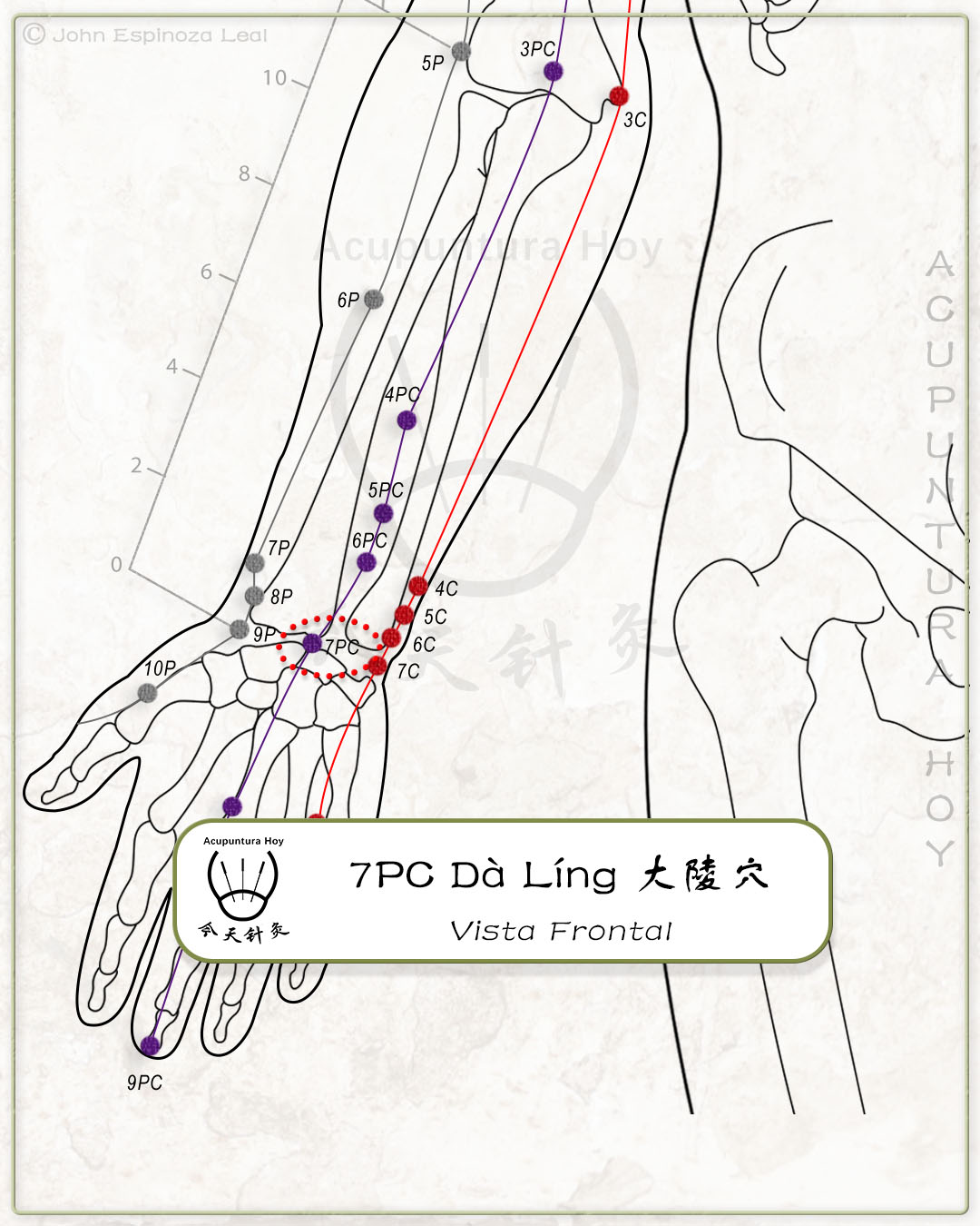 7PC Dà Líng 大陵穴