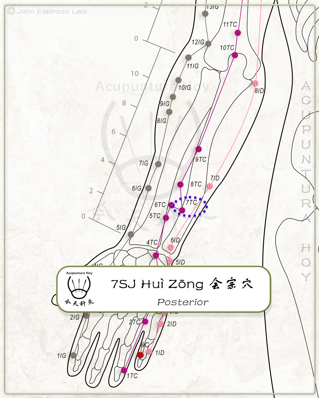7SJ Huì Zōng 会宗穴